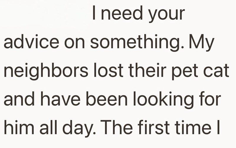 I need your advice on something. My neighbors lost their pet cat and have been looking for him all day. The first time I