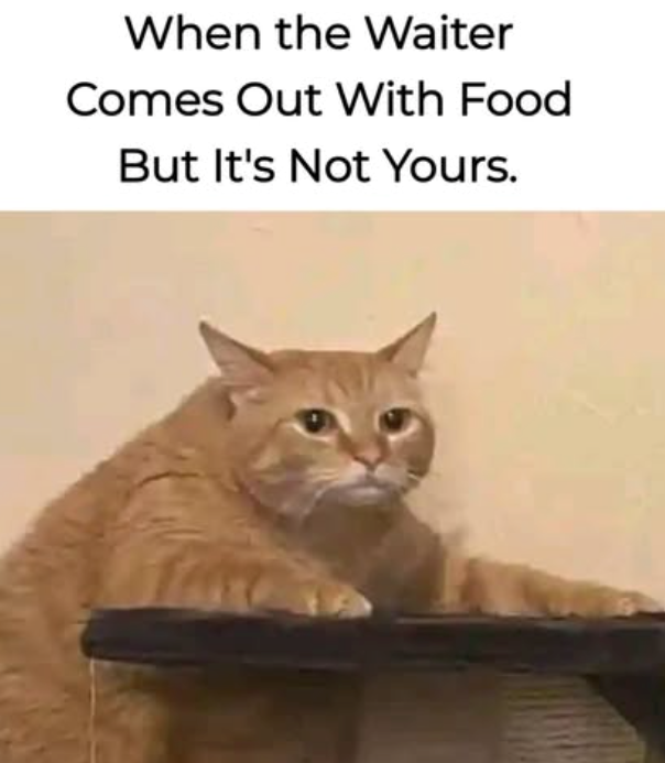 When the Waiter Comes Out With Food But It's Not Yours.