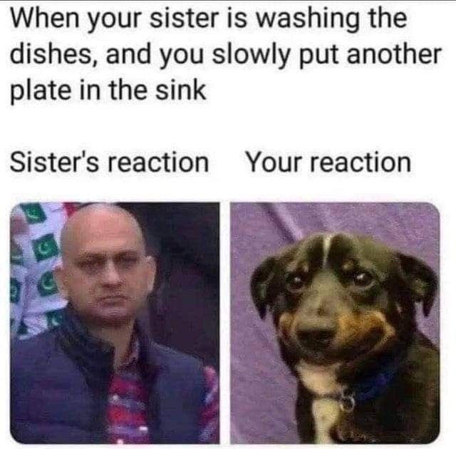When your sister is washing the dishes, and you slowly put another plate in the sink Sister's reaction Your reaction