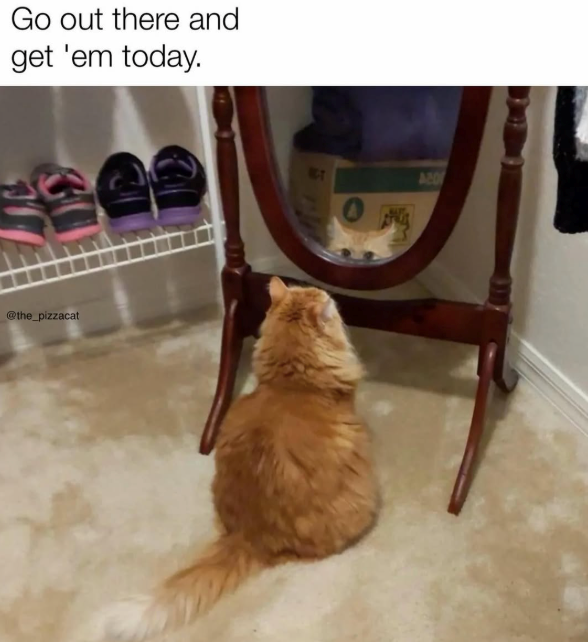 Go out there and get 'em today. @the_pizzacat NOT ACD