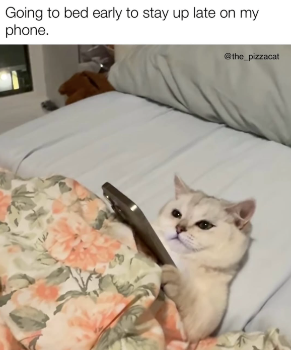 Going to bed early to stay up late on my phone. @the_pizzacat