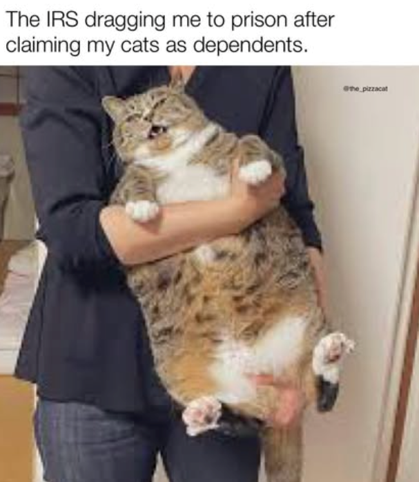 The IRS dragging me to prison after claiming my cats as dependents. the pizzacat