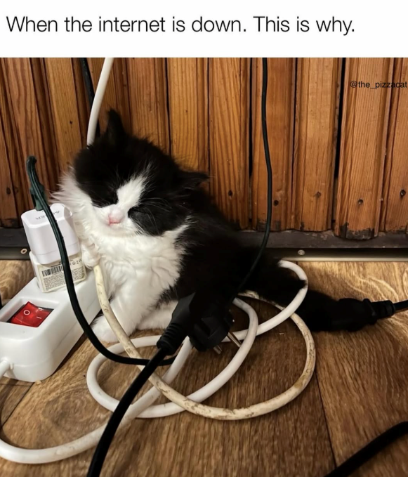 When the internet is down. This is why. @the_pizzacat