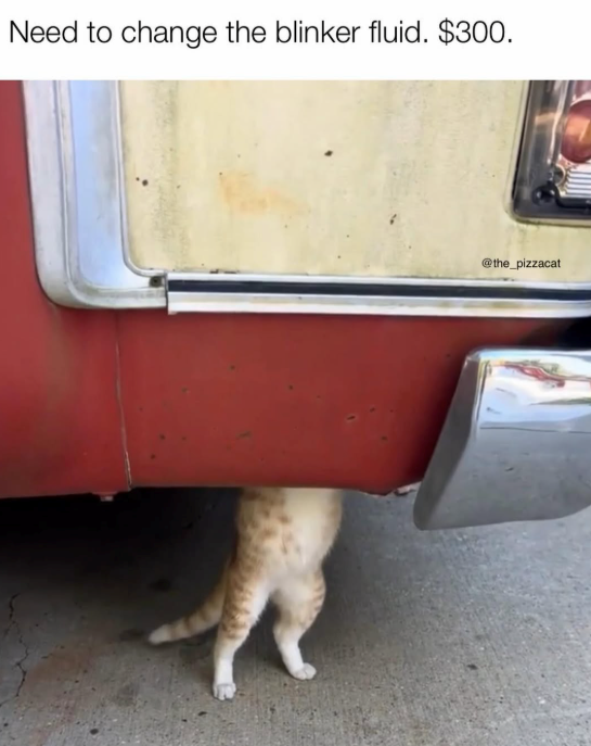 Need to change the blinker fluid. $300. @the_pizzacat