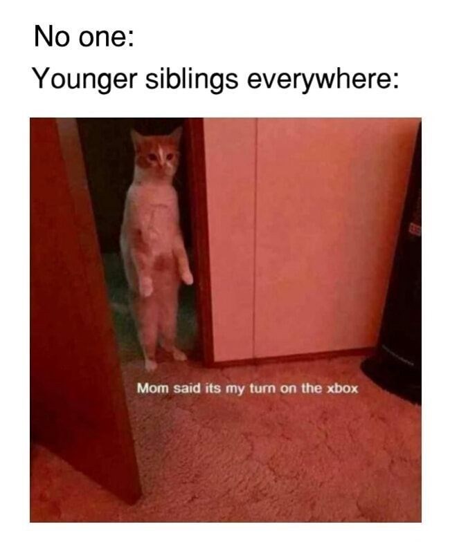 No one: Younger siblings everywhere: Mom said its my turn on the xbox