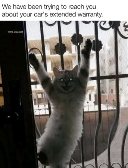 We have been trying to reach you about your car's extended warranty. the pizzacal