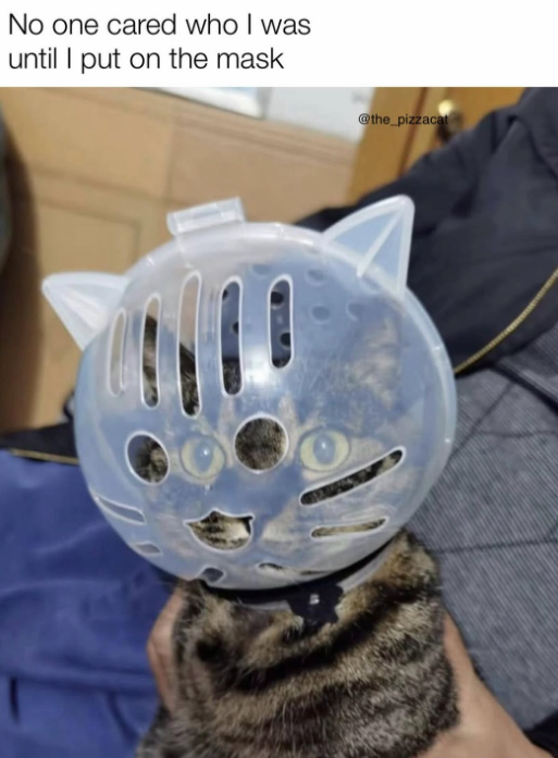 No one cared who I was until I put on the mask @the_pizzacat