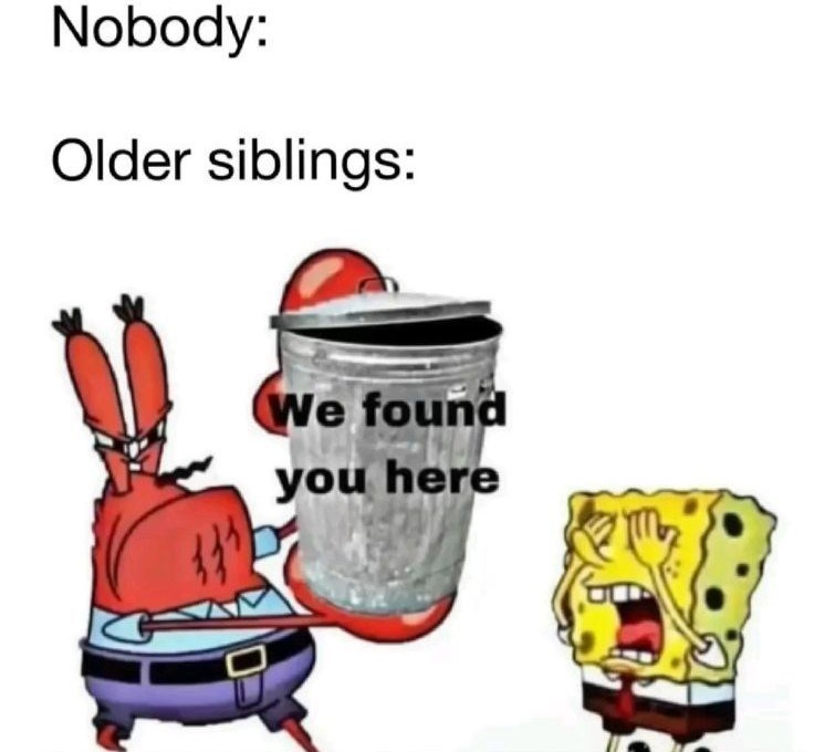 Nobody: Older siblings: We found you here