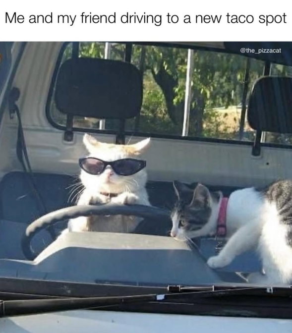 Me and my friend driving to a new taco spot @the_pizzacat