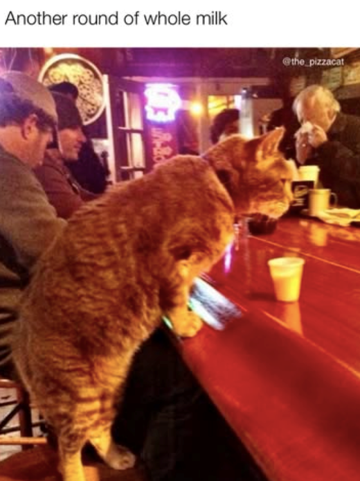 Another round of whole milk @the_pizzacat -