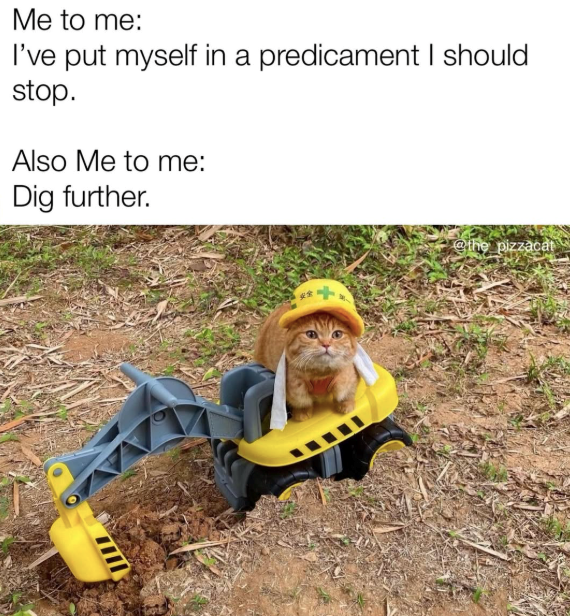 Me to me: I've put myself in a predicament I should stop. Also Me to me: Dig further. @the pizzacat