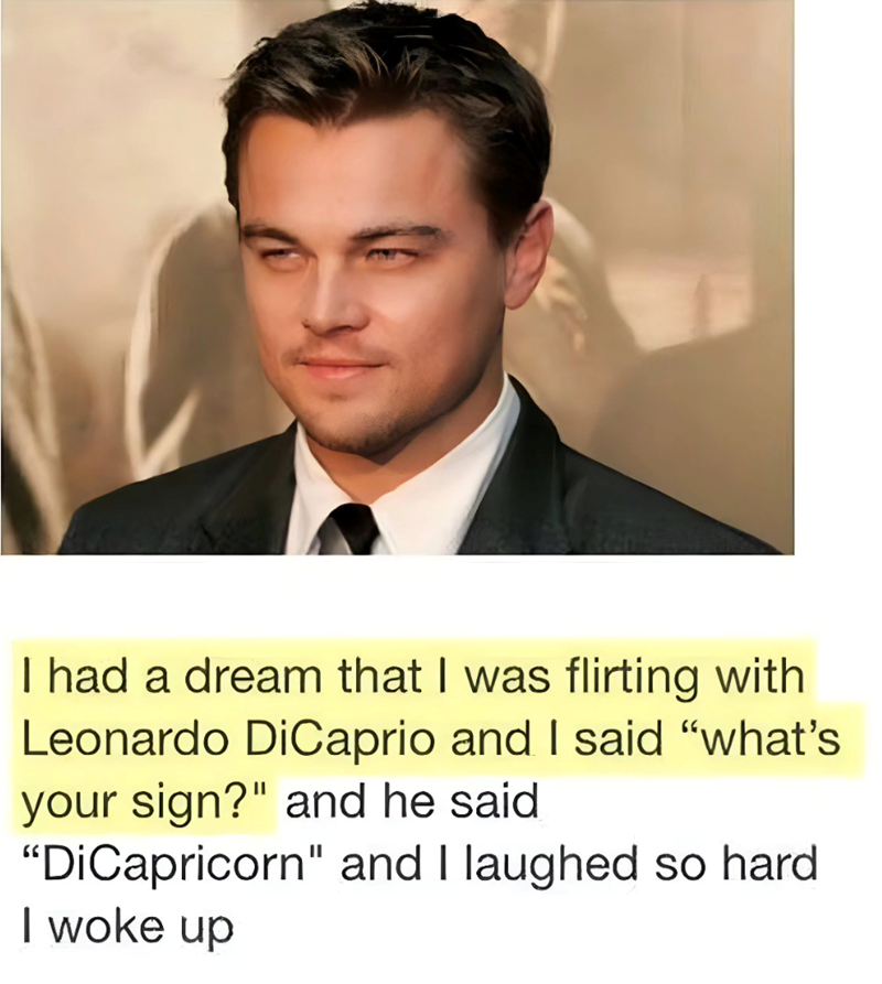 I had a dream that I was flirting with Leonardo DiCaprio and I said "what's your sign?" and he said "DiCapricorn" and I laughed so hard I woke up