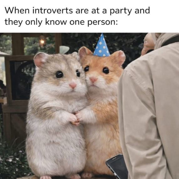 When introverts are at a party and they only know one person: