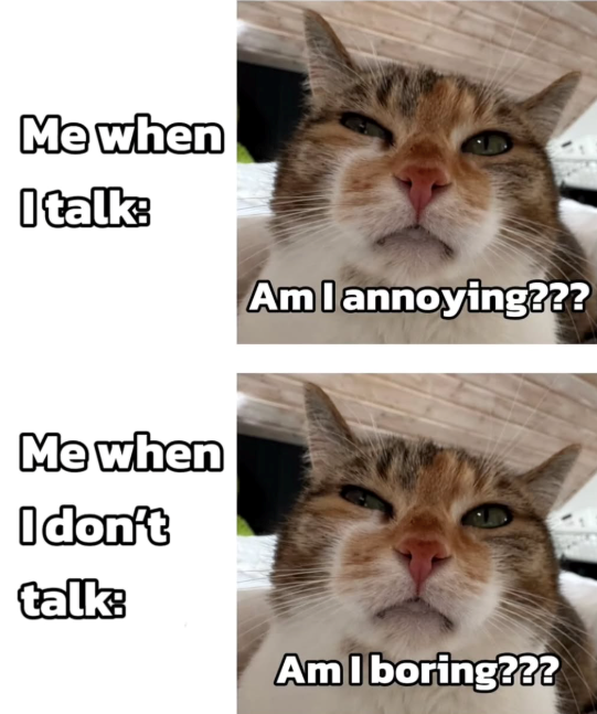 Me when I talk: Am I annoying??? Me when I don't talk: Am I boring???