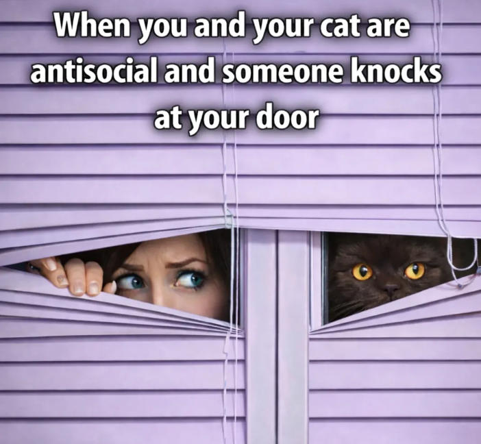 When you and your cat are antisocial and someone knocks at your door