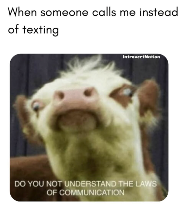 When someone calls me instead of texting IntrovertNation DO YOU NOT UNDERSTAND THE LAWS OF COMMUNICATION