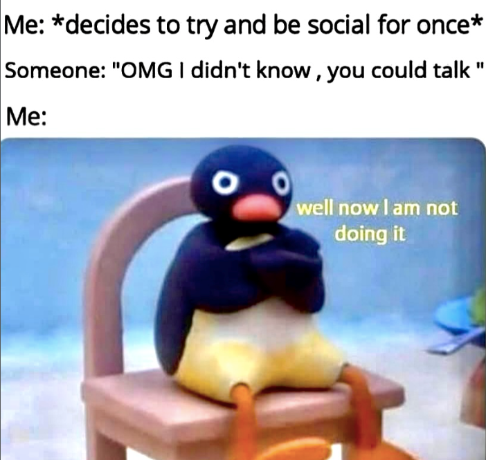 Me: *decides to try and be social for once* Someone: "OMG I didn't know, you could talk" Me: well now I am not doing it