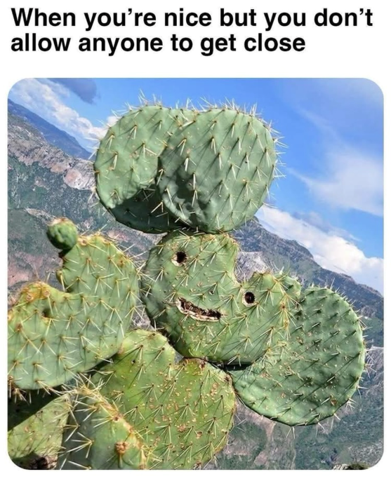 When you're nice but you don't allow anyone to get close