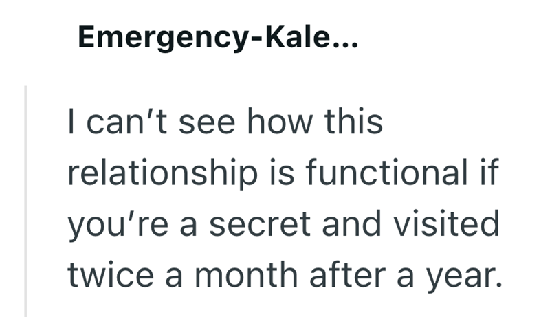 Emergency-Kale... I can't see how this relationship is functional if you're a secret and visited twice a month after a year.