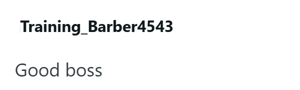 Training_Barber4543 Good boss