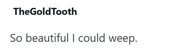 TheGoldTooth So beautiful I could weep.