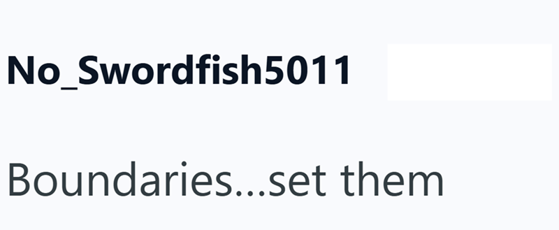 No_Swordfish5011 Boundaries...set them