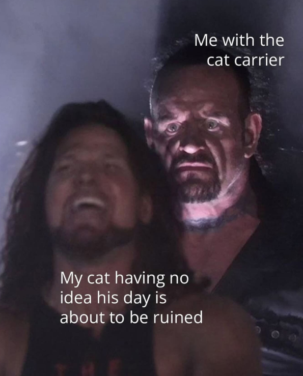 Me with the cat carrier My cat having no idea his day is about to be ruined