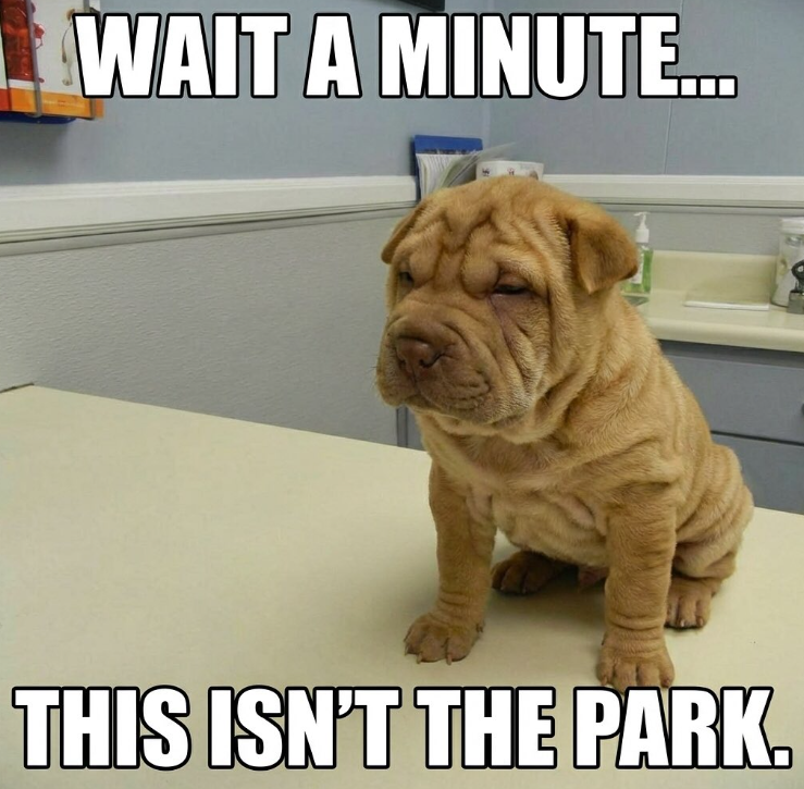 WAIT A MINUTE... THIS ISN'T THE PARK.
