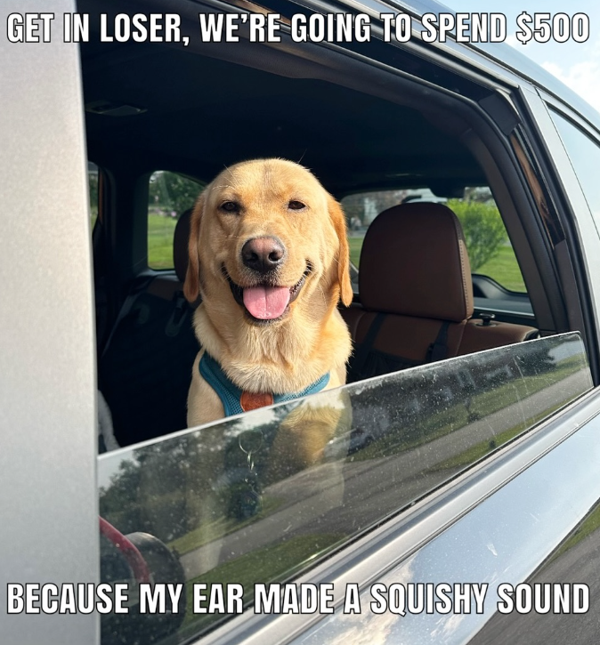 GET IN LOSER, WE'RE GOING TO SPEND $500 BECAUSE MY EAR MADE A SQUISHY SOUND