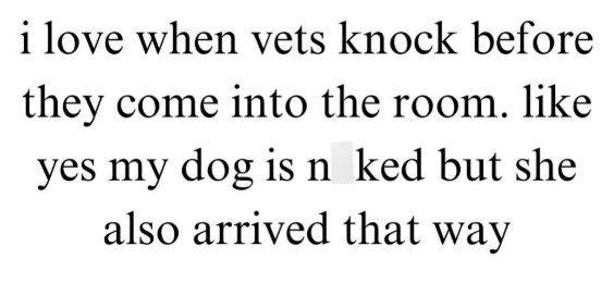 i love when vets knock before they come into the room. like yes my dog is n ked but she also arrived that way