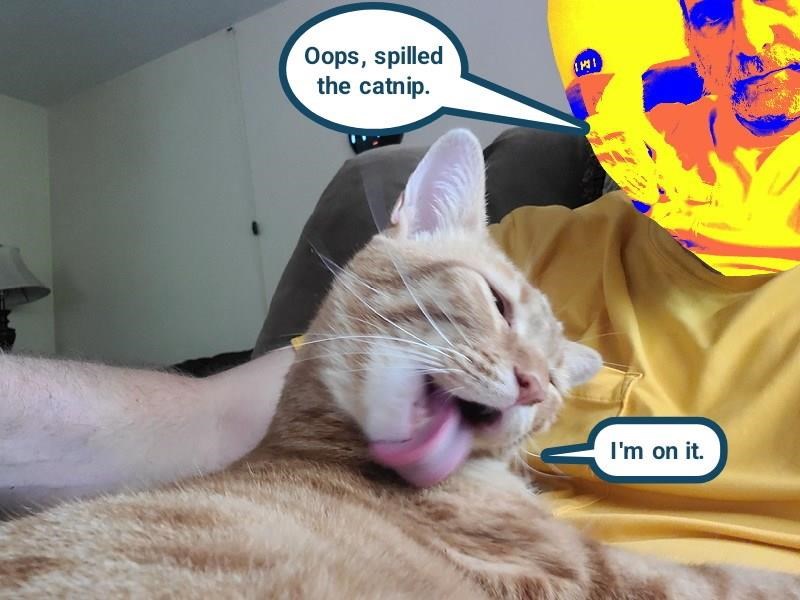 Cheezburger Image 10625126400