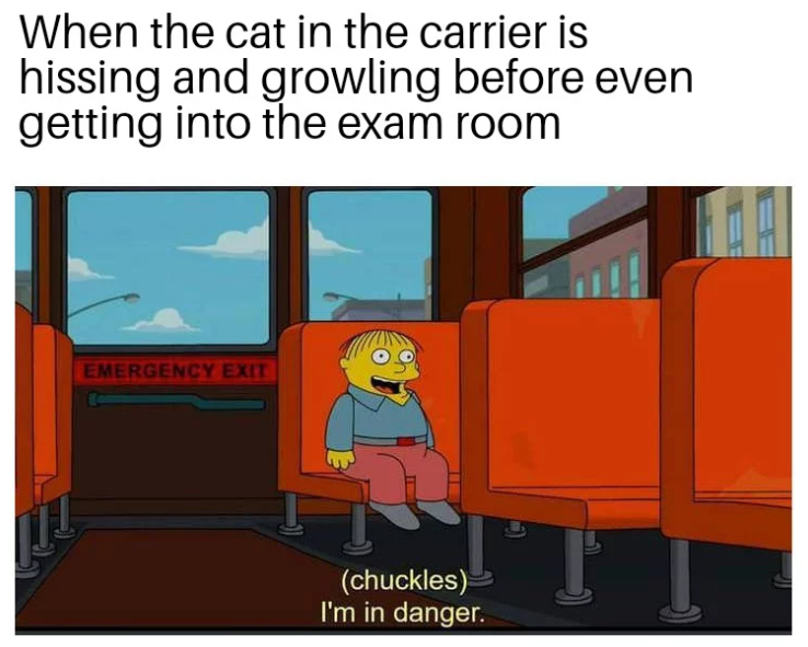 When the cat in the carrier is hissing and growling before even getting into the exam room EMERGENCY EXIT (chuckles) I'm in danger.