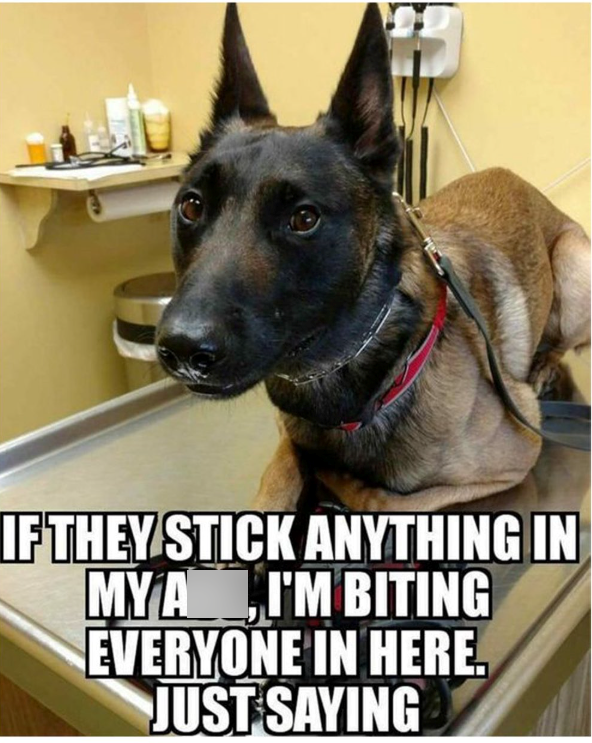 IF THEY STICK ANYTHING IN MY A I'M BITING EVERYONE IN HERE. JUST SAYING