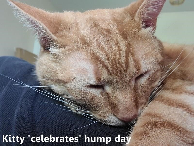 Cheezburger Image 10625127680