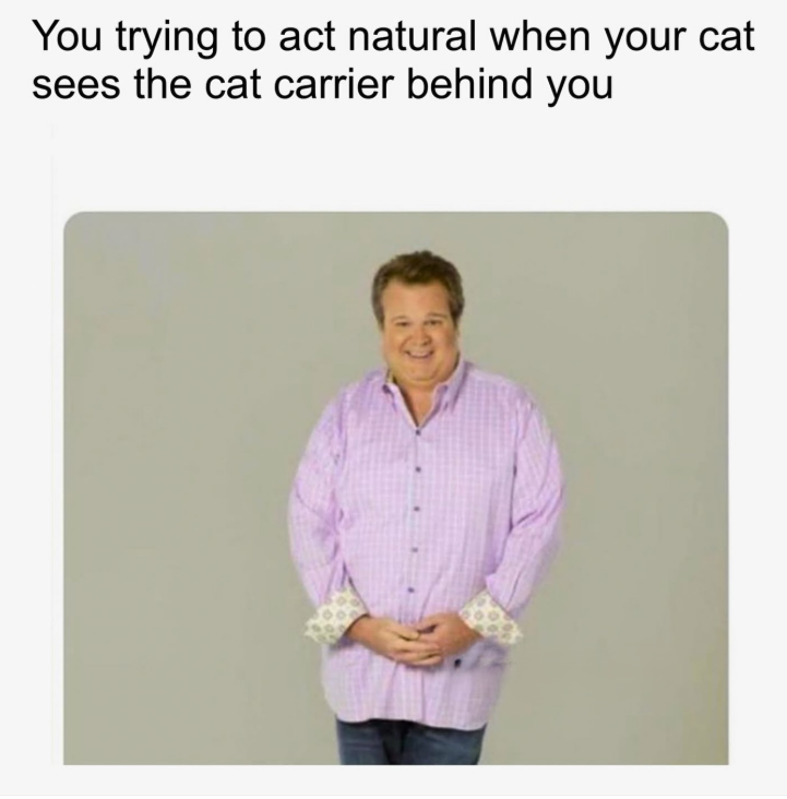 You trying to act natural when your cat sees the cat carrier behind you