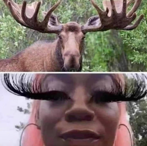 Cheezburger Image 10625131776