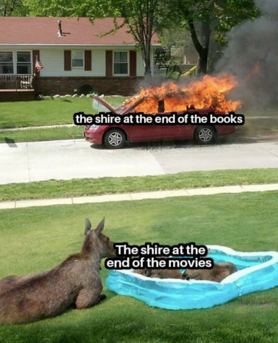 the shire at the end of the books The shire at the end of the movies
