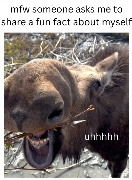 mfw someone asks me to share a fun fact about myself uhhhhh