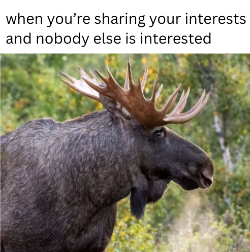 when you're sharing your interests and nobody else is interested