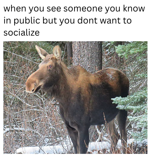 when you see someone you know in public but you dont want to socialize