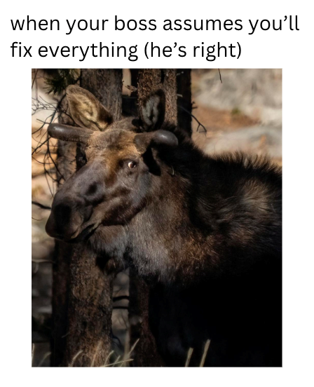 when your boss assumes you'll fix everything (he's right)
