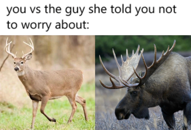 you vs the guy she told you not to worry about: