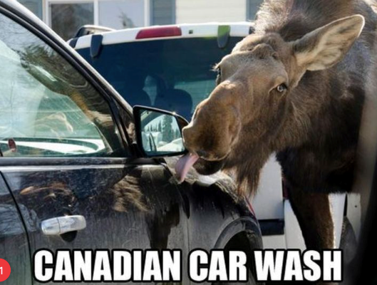 1 CANADIAN CAR WASH