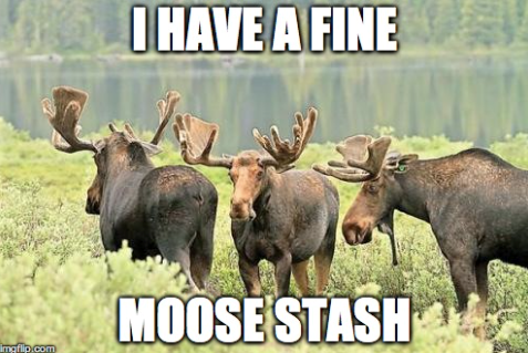 imgflip.com I HAVE A FINE MOOSE STASH