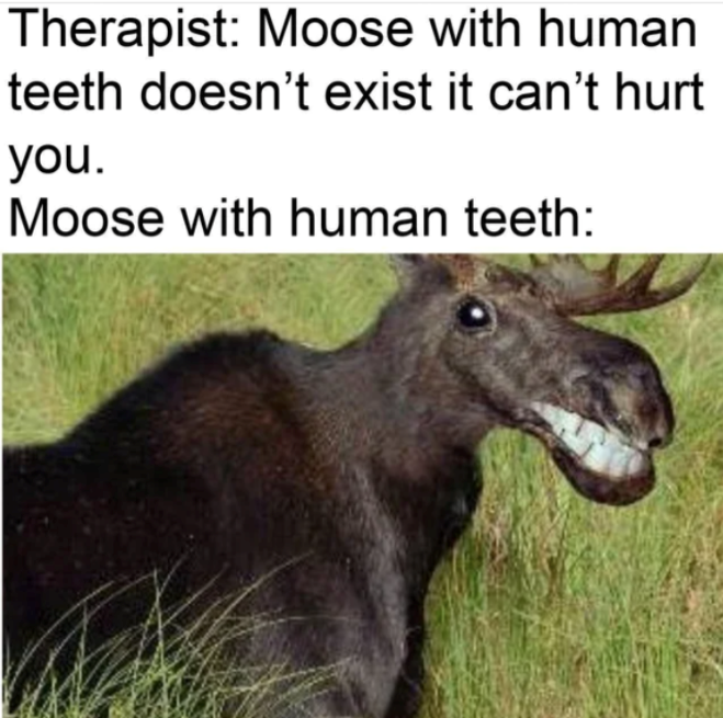 Therapist: Moose with human teeth doesn't exist it can't hurt you. Moose with human teeth: