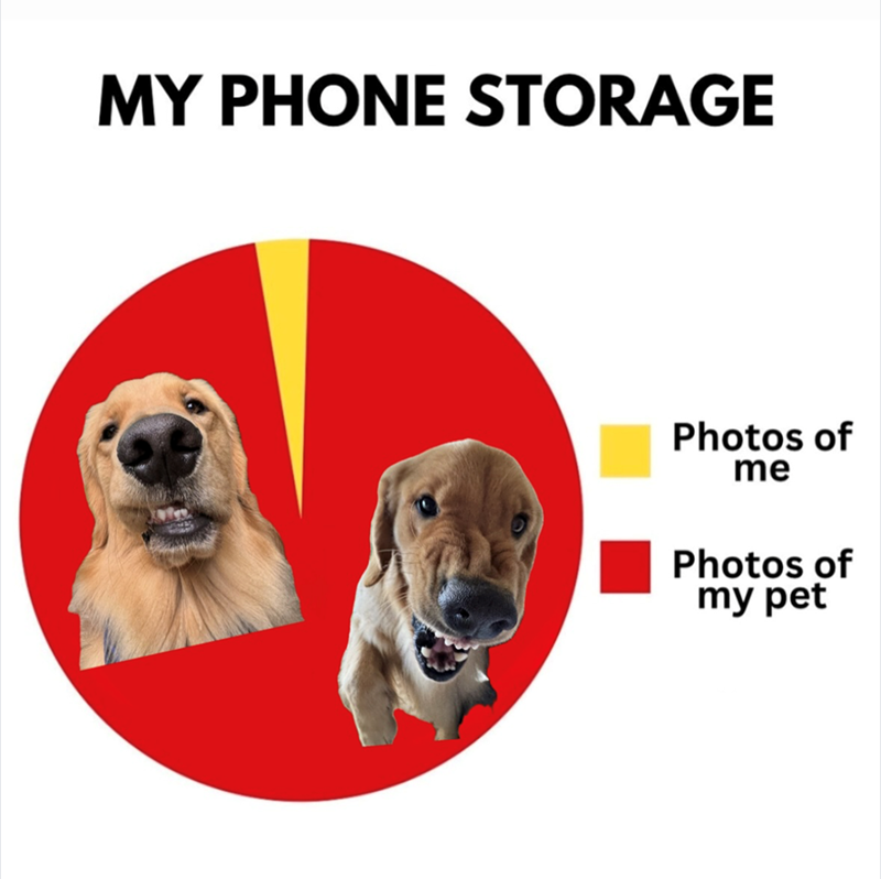 MY PHONE STORAGE Photos of me Photos of my pet