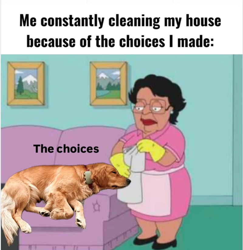 Me constantly cleaning my house because of the choices I made: The choices