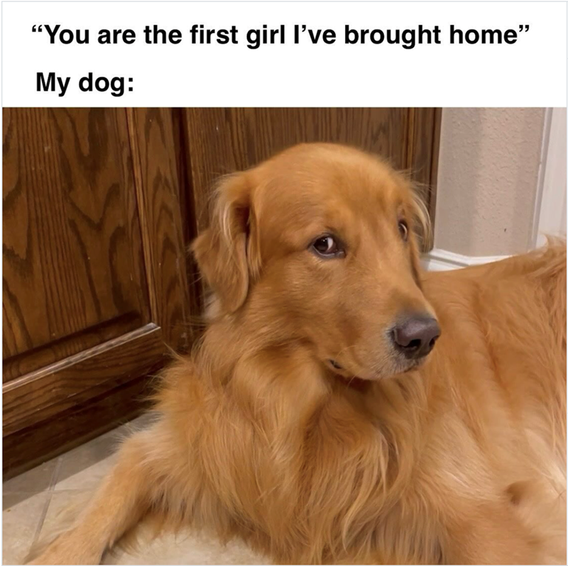 "You are the first girl I've brought home" My dog: