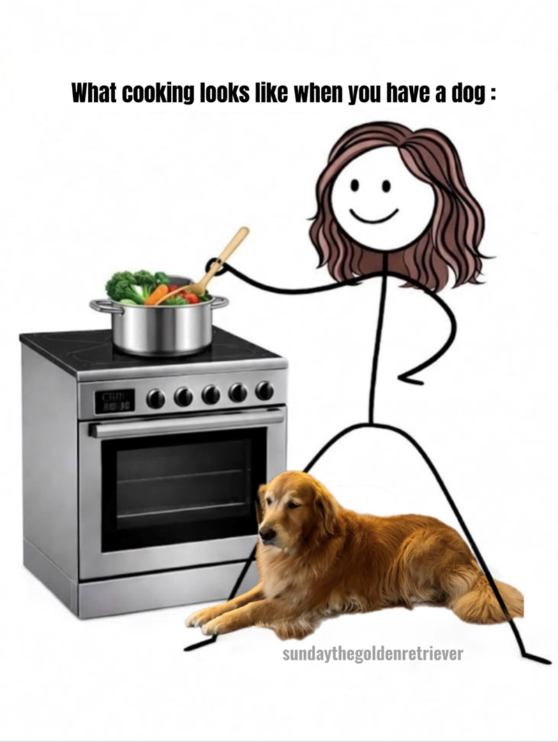 What cooking looks like when you have a dog : sundaythegoldenretriever