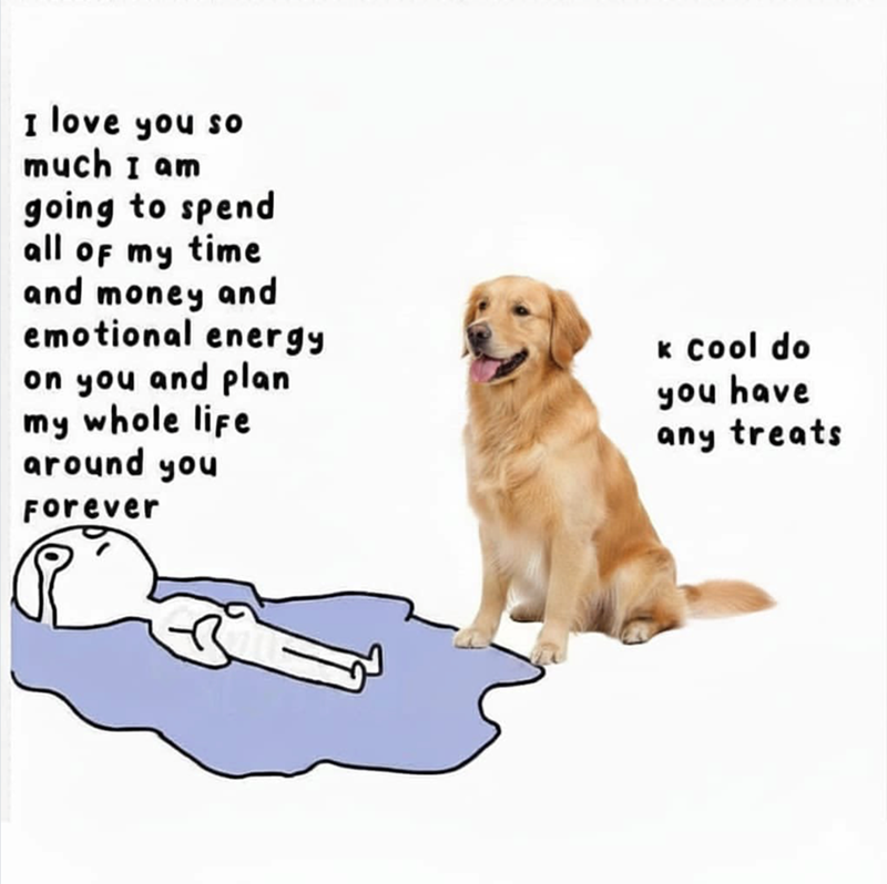 I love you so much I am going to spend all of my time and money and emotional energy on you and plan my whole life around you Forever K Cool do you have any treats